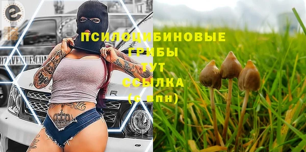 кристаллы Алзамай